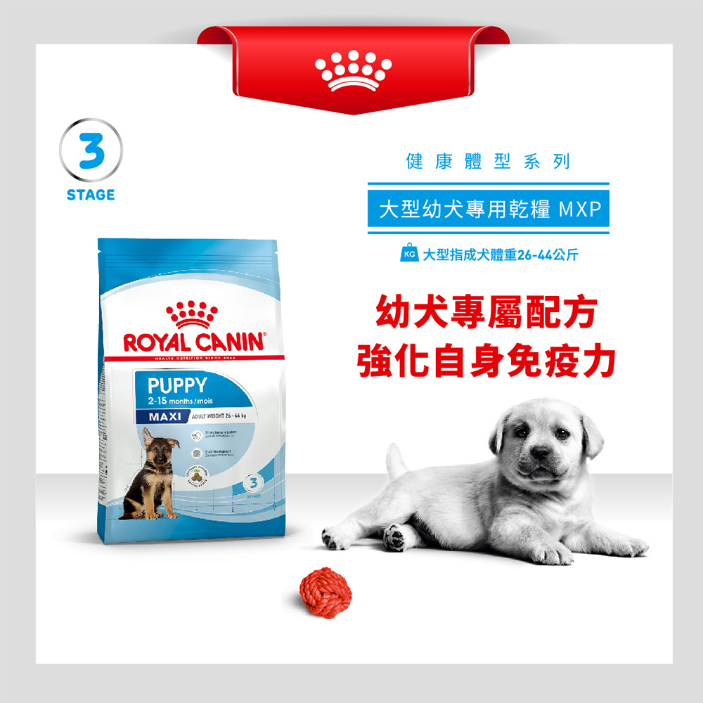 Royal Canin法國皇家 皇家大型幼犬MXP