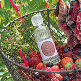 1MM0420-038 [MATHILDE M] 永恆室內香氛 100ml - 森林水果 #EPA2FDB (EU)