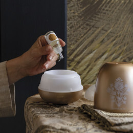 1MM0420-236 [MATHILDE M] 侯爵永恆室內香氛（高濃度）10毫升 #STI2NMA (EU)