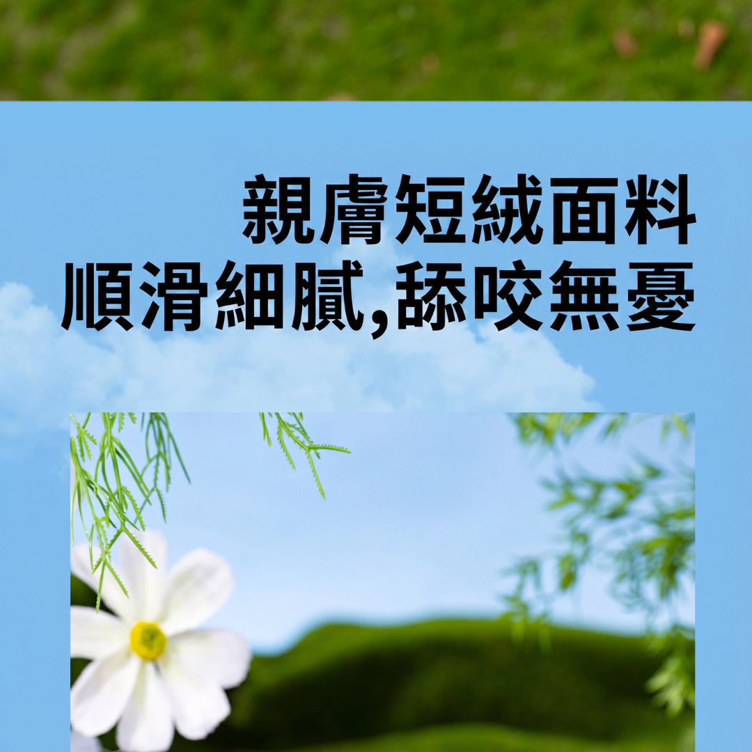 好寵-小熊維尼響紙方磚-迪士尼造型寵物發聲玩具推薦