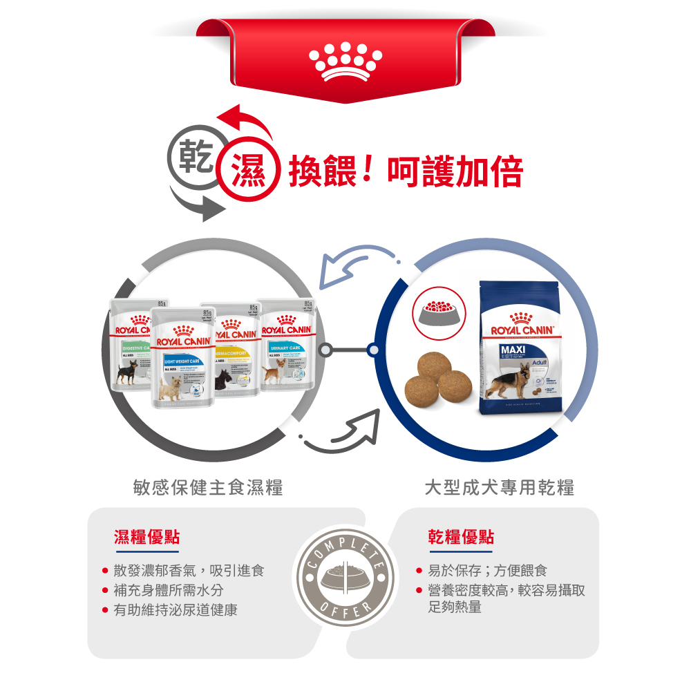 Royal Canin法國皇家 皇家大型成犬MXA