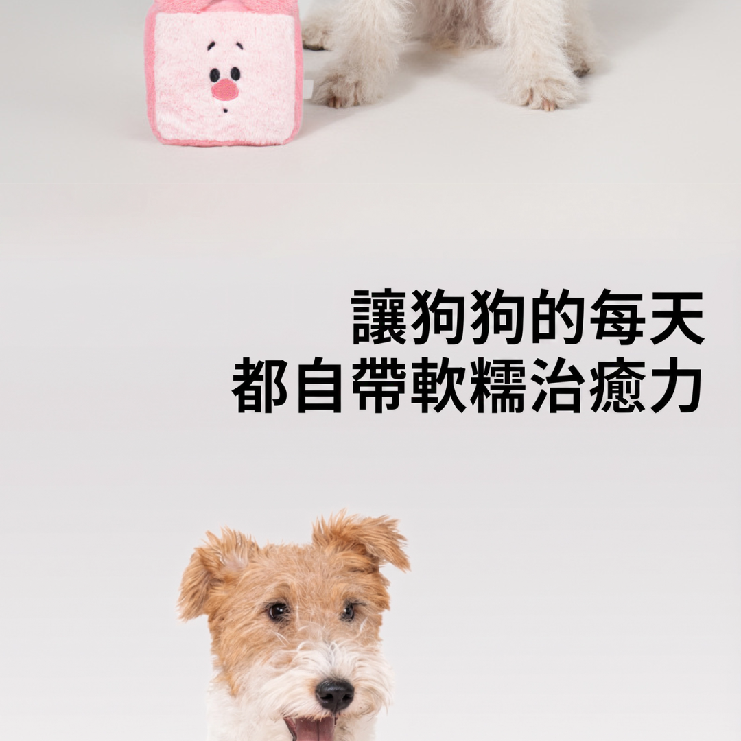 好寵-小熊維尼響紙方磚-迪士尼造型寵物發聲玩具推薦