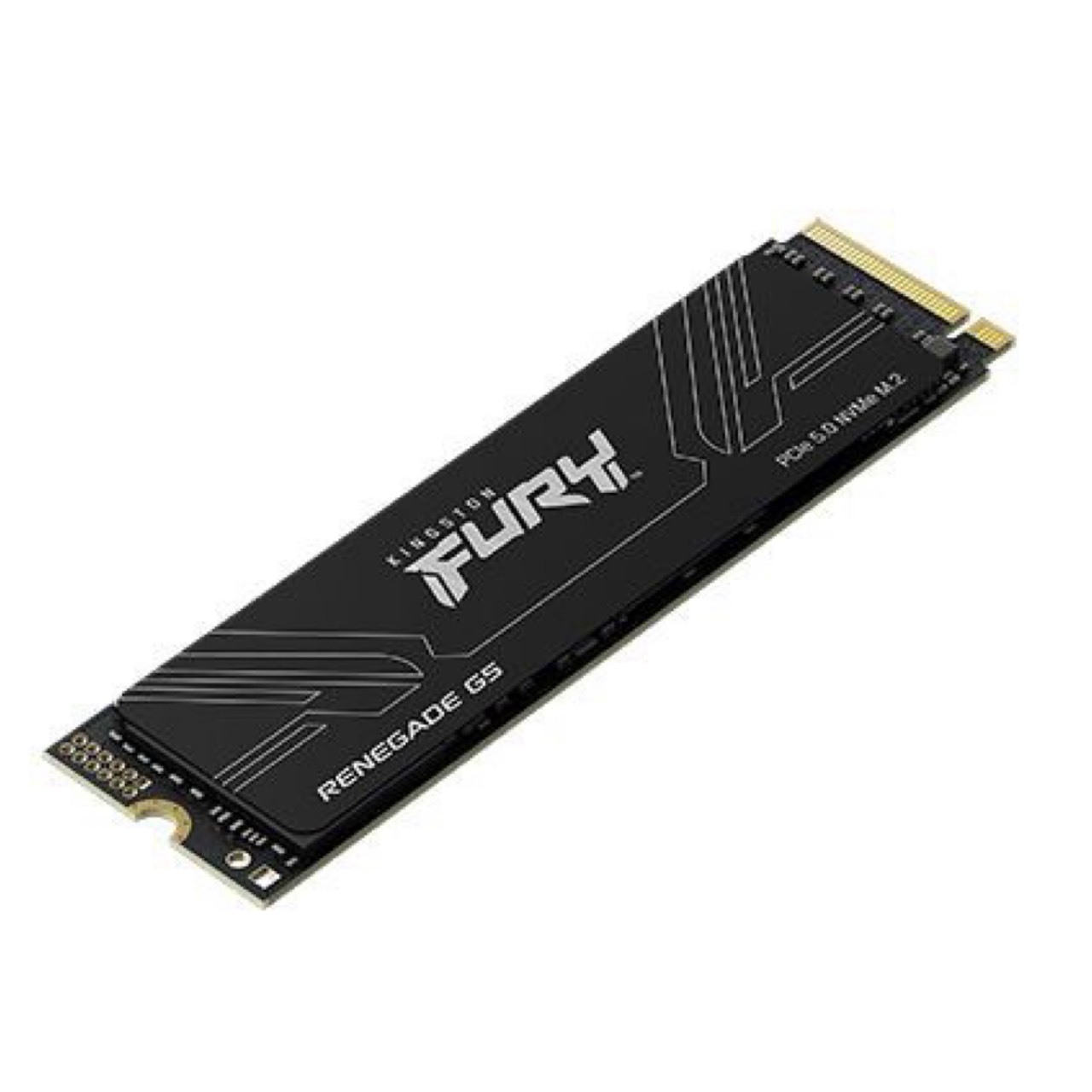 Kingston 金士頓 FURY Renegade G5 1TB 2TB 4TB 8TB PCIe 5.0 NVMe M.2 SSD 固態硬碟