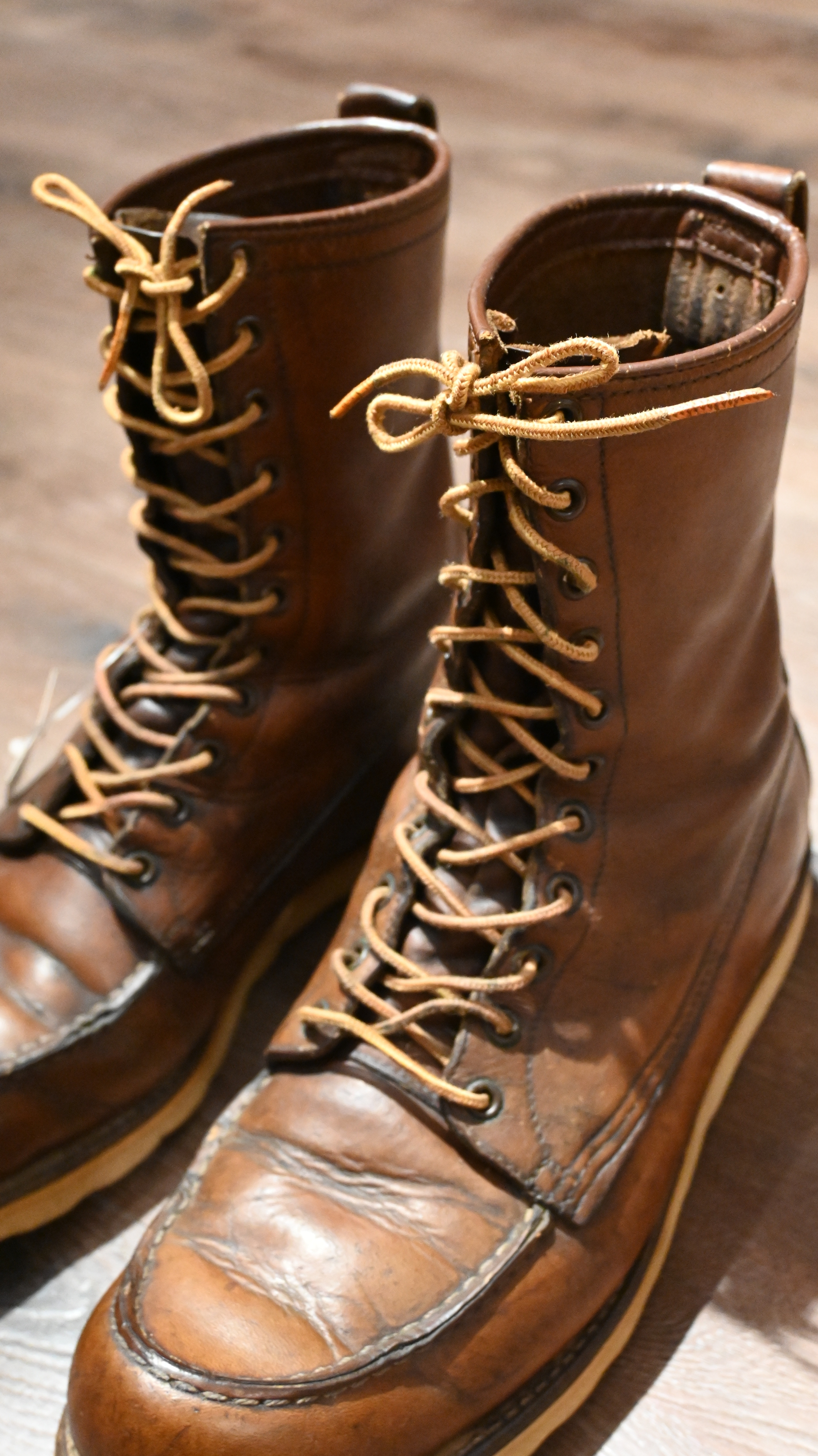 60’s Red Wing 877 Irish Setter Dog Tag