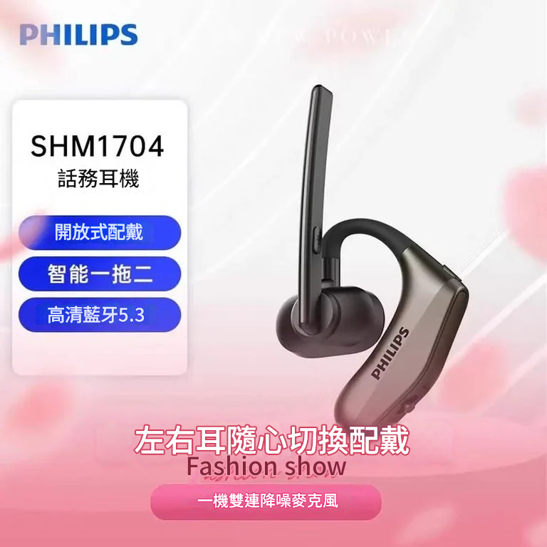 Philips Bluetooth Earphone SHB1704