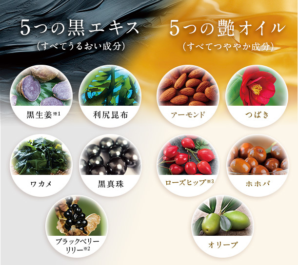JP 日本製造 SALON de PRO 彩色洗髮精華 (白髮專用)