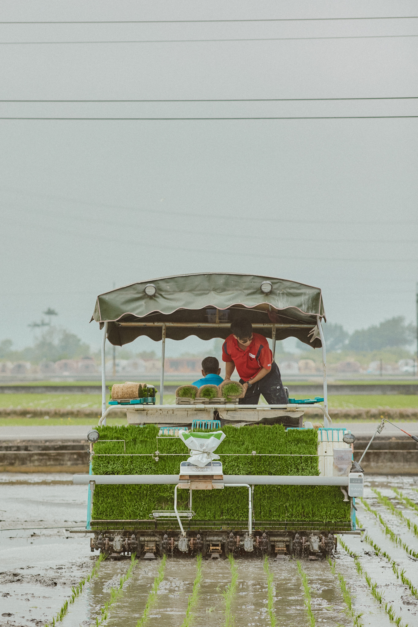 馬啟亮和馬慶任父子在插秧機上同心協力