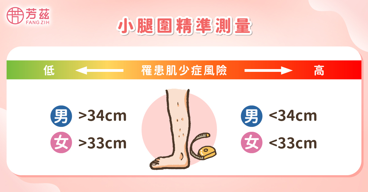 肌少症自我檢測第二招：小腿圍精準測量