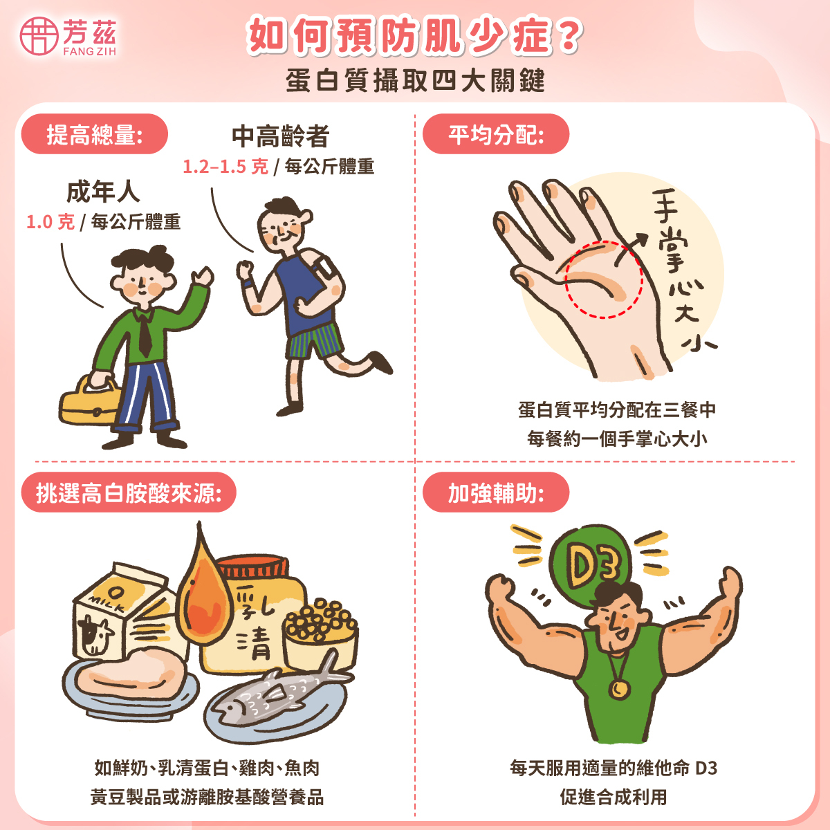 如何預防肌少症？蛋白質與胺基酸攝取是關鍵