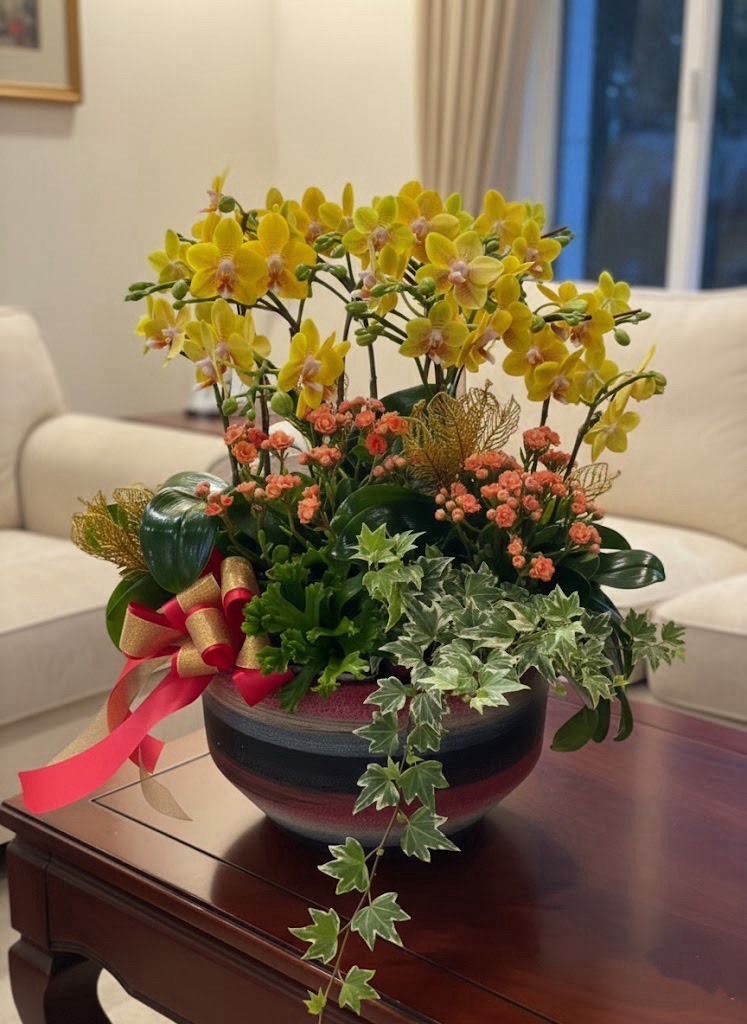 蘭花植栽-一隅蘭景