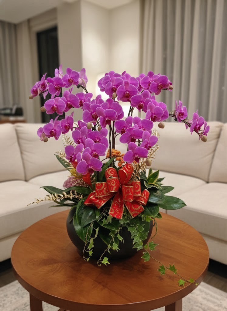 蘭花植栽-蘭間紅日