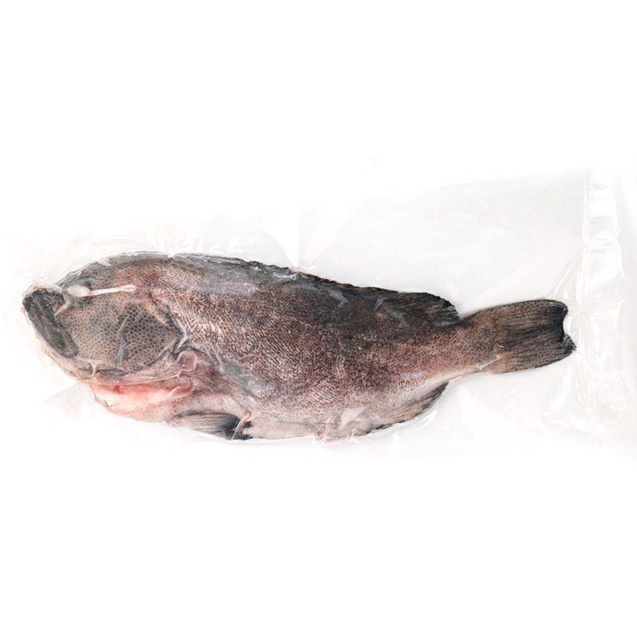 Local IQF Spotfin Coris 300g