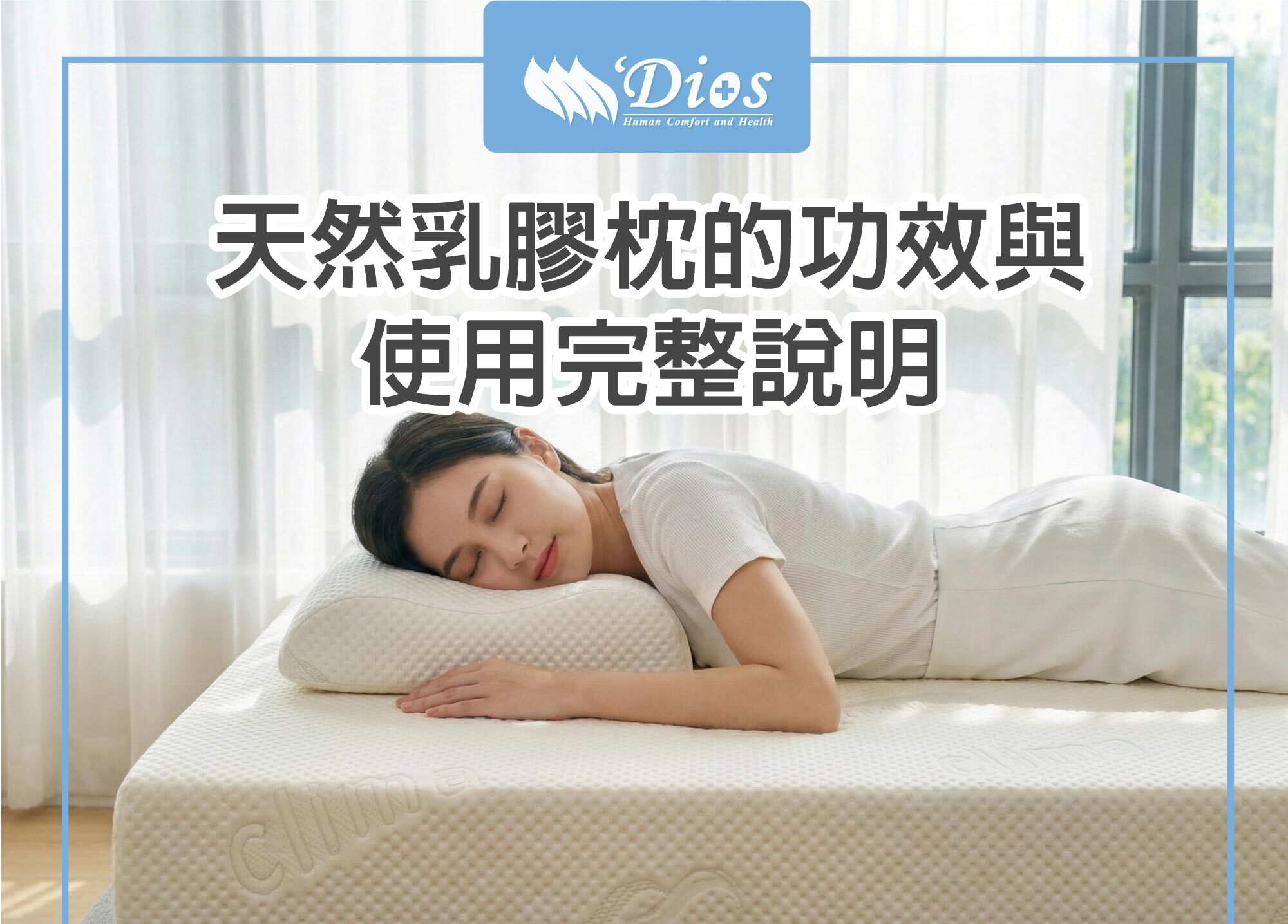 乳膠枕使用完整說明