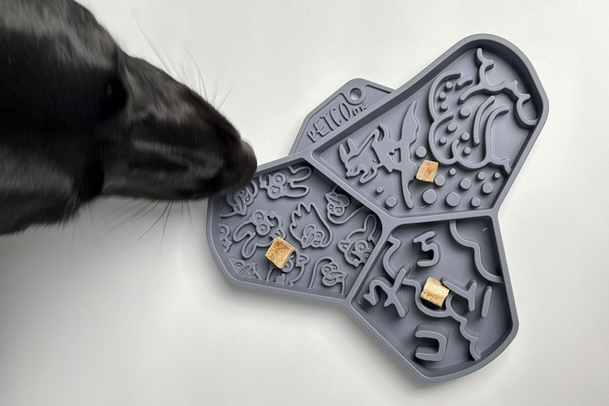 狗狗與舔食墊的情境圖