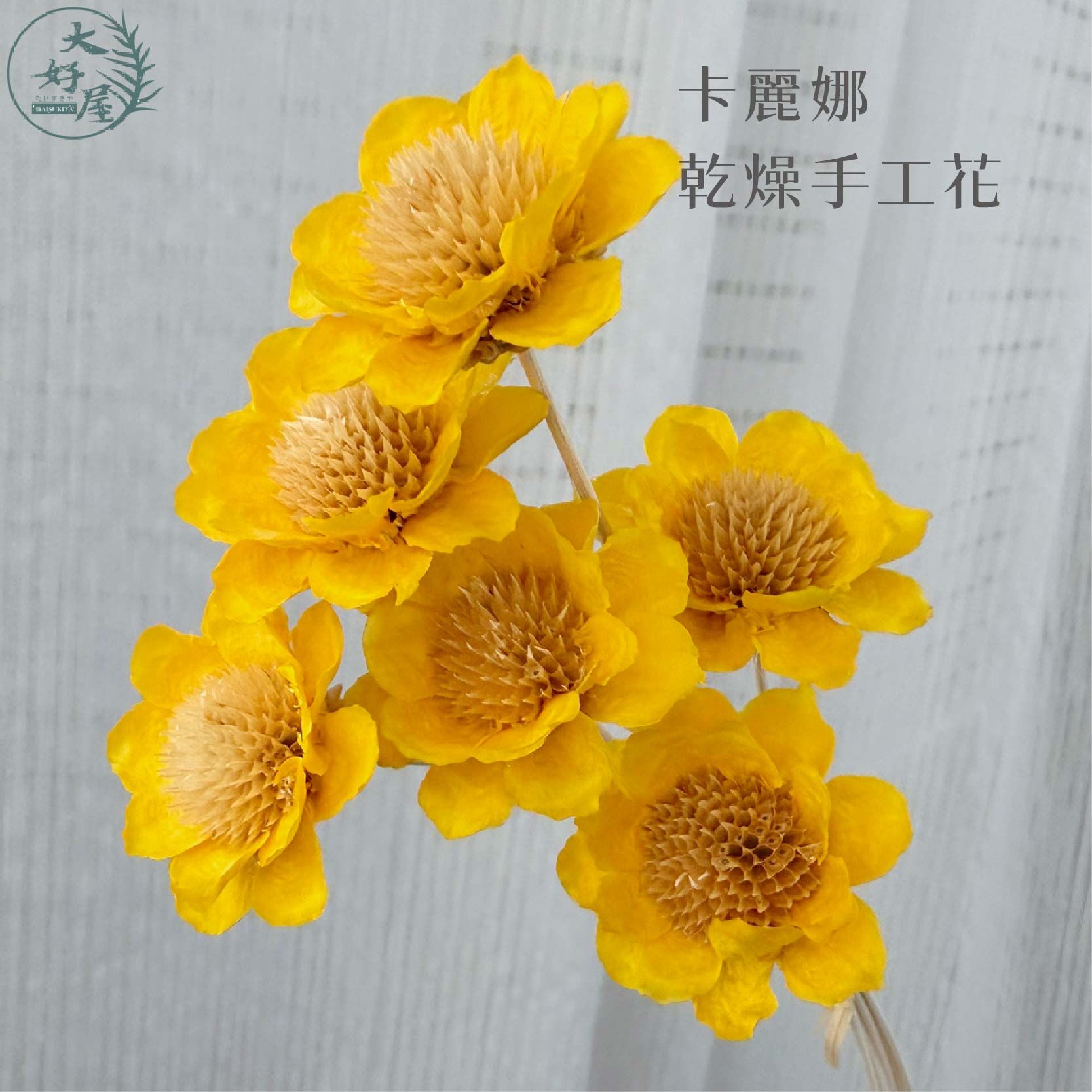 卡麗娜乾燥手工花
