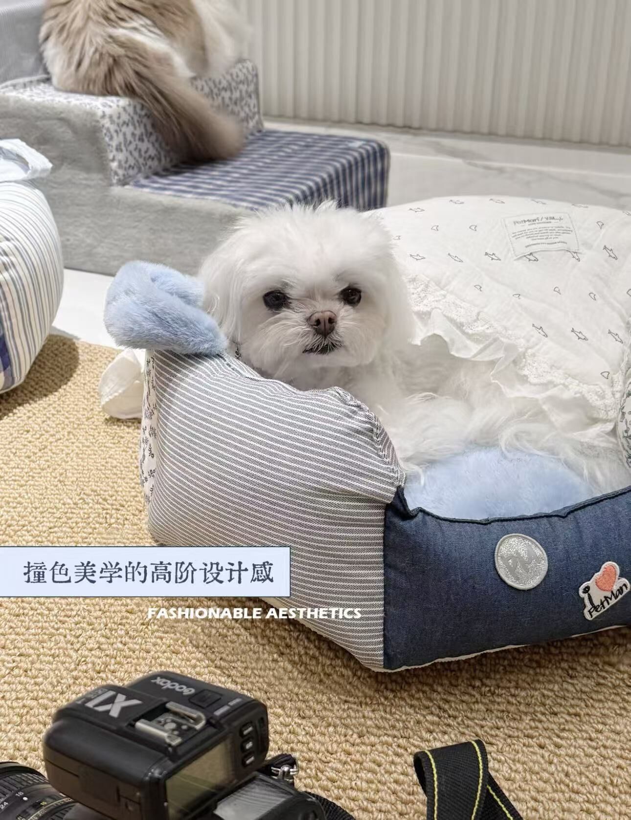 PETMAN 蓝调徽章花瓣窝