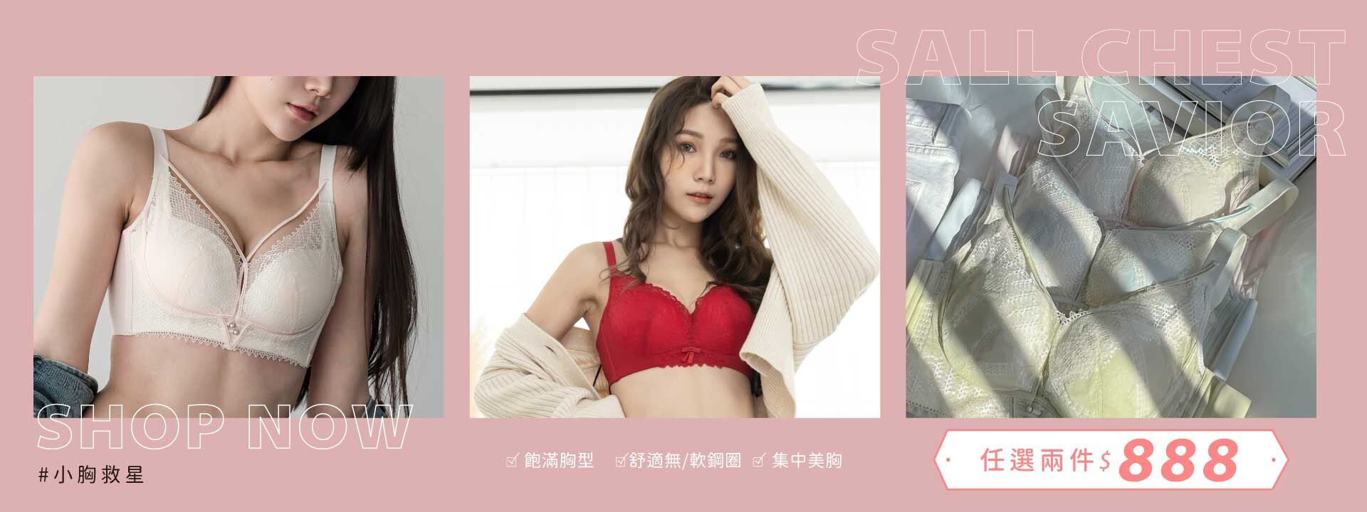 小胸內衣2件$888