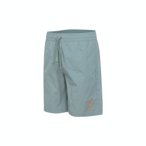 PUMA 短褲 基本系列 ESS METALLIC 湖藍色 短風褲 男 68927386