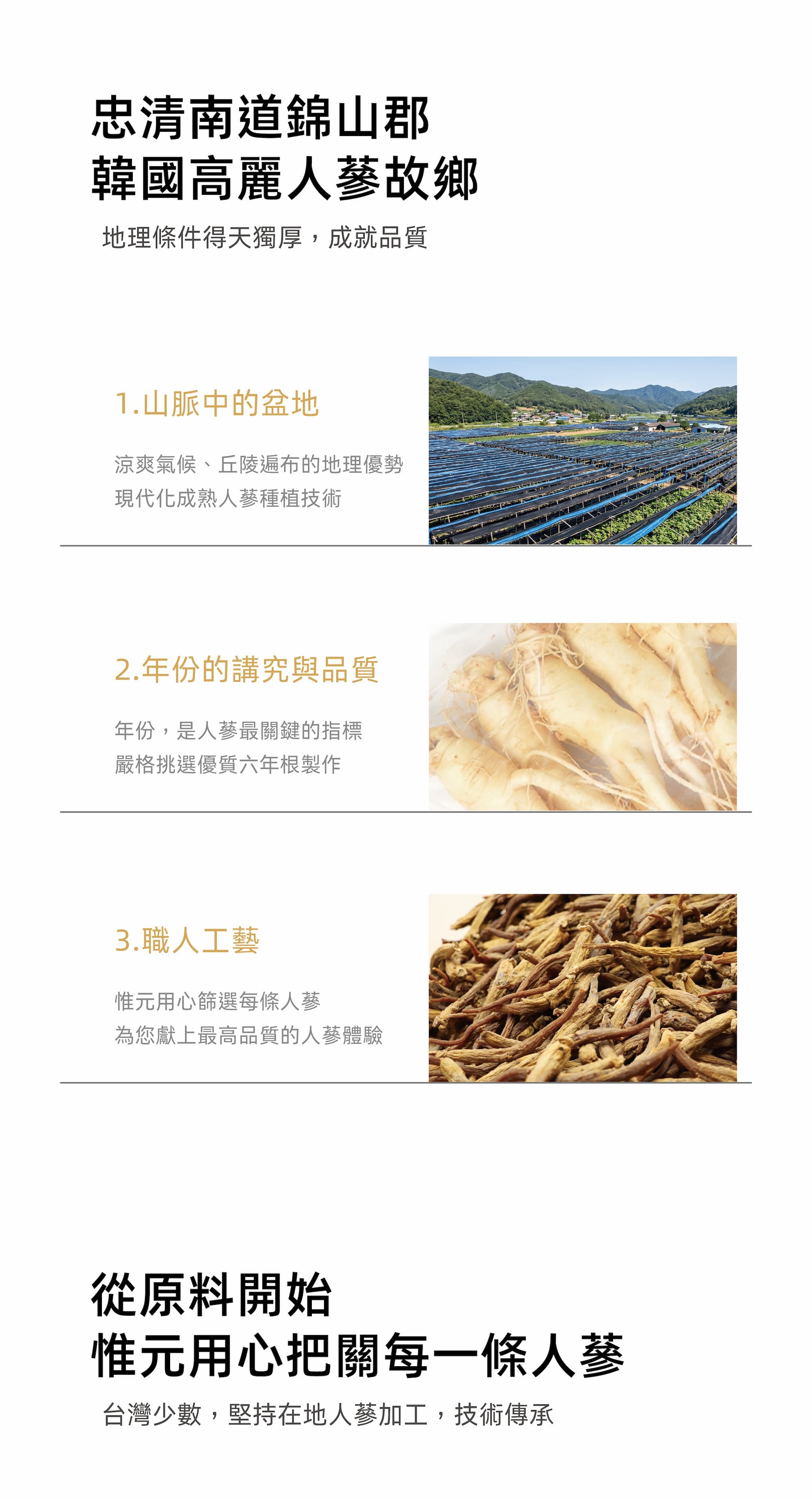產地圖片、新鮮水蔘圖片、加工好的人蔘原條