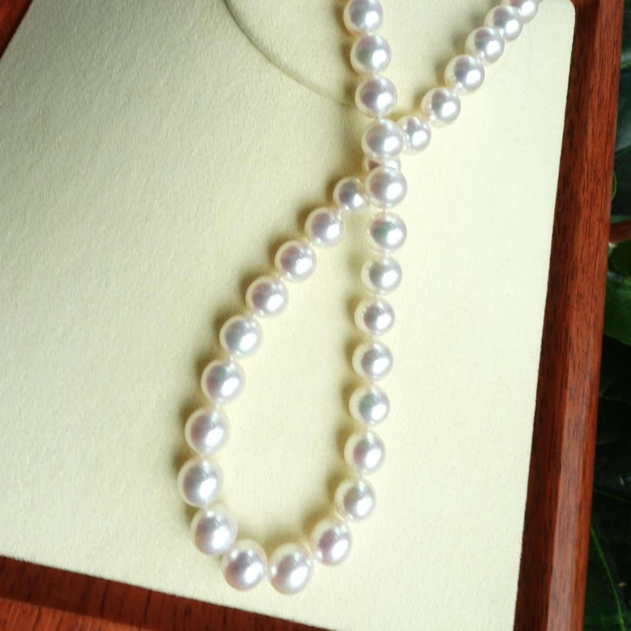 8-8.5mm 極光Rose Premium -日本Akoya珍珠項鏈  (配真科研證書)