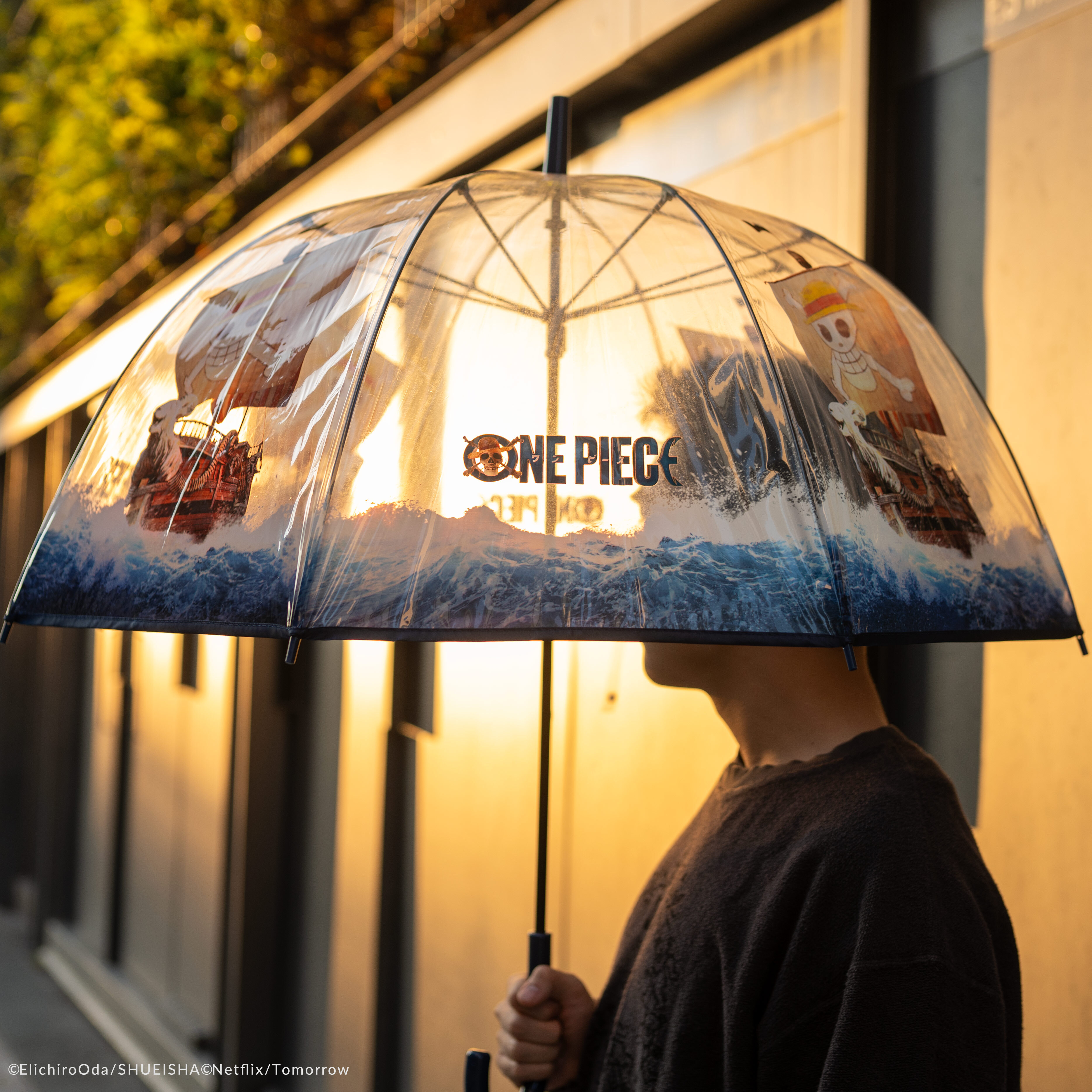 海賊王 梅利號透明雨傘