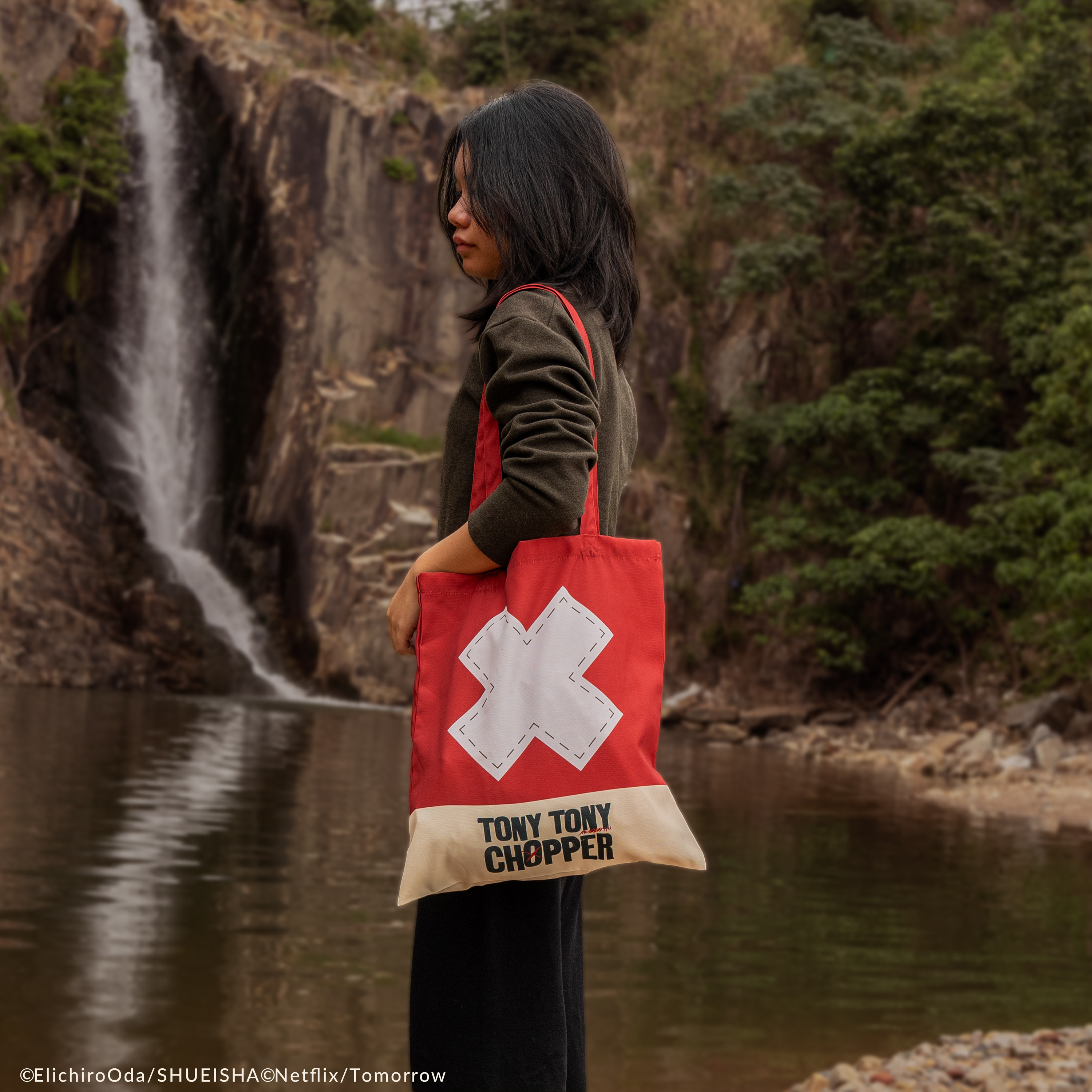 海賊王 - 喬巴帆布袋