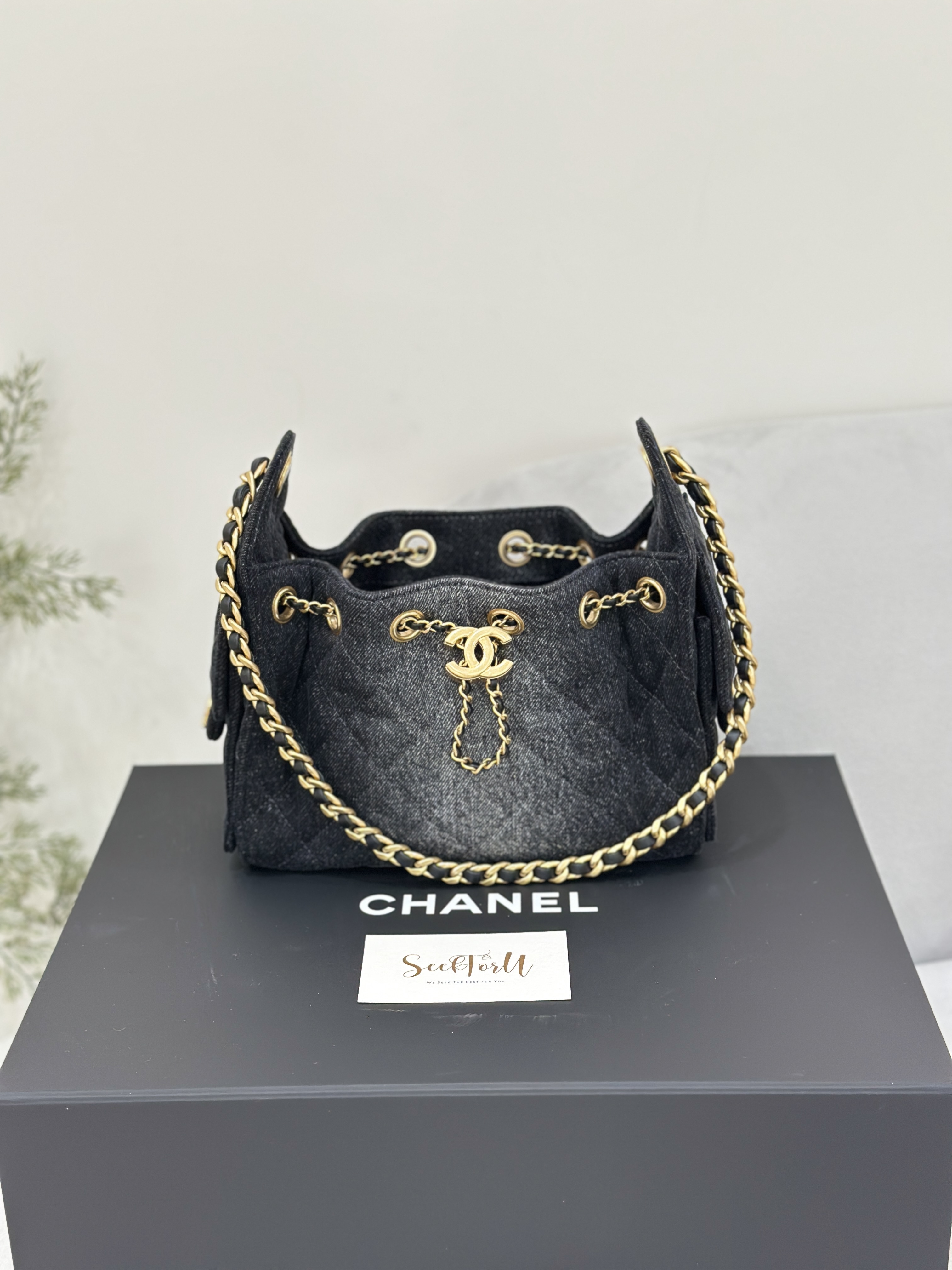 CHANEL 25 Mini Bag