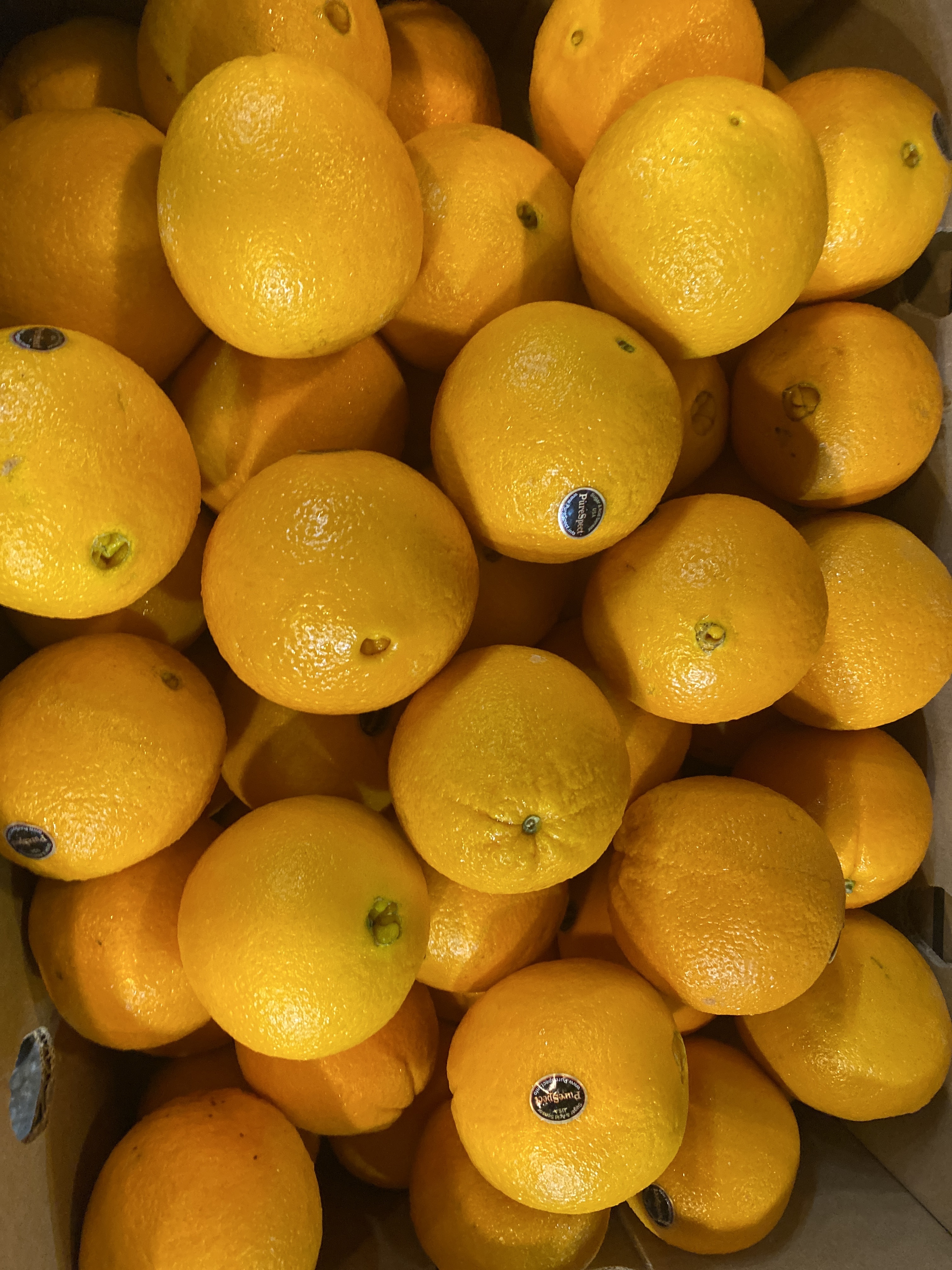 【水果】0421 果欄直播 美國黑牌橙 56庄 7個