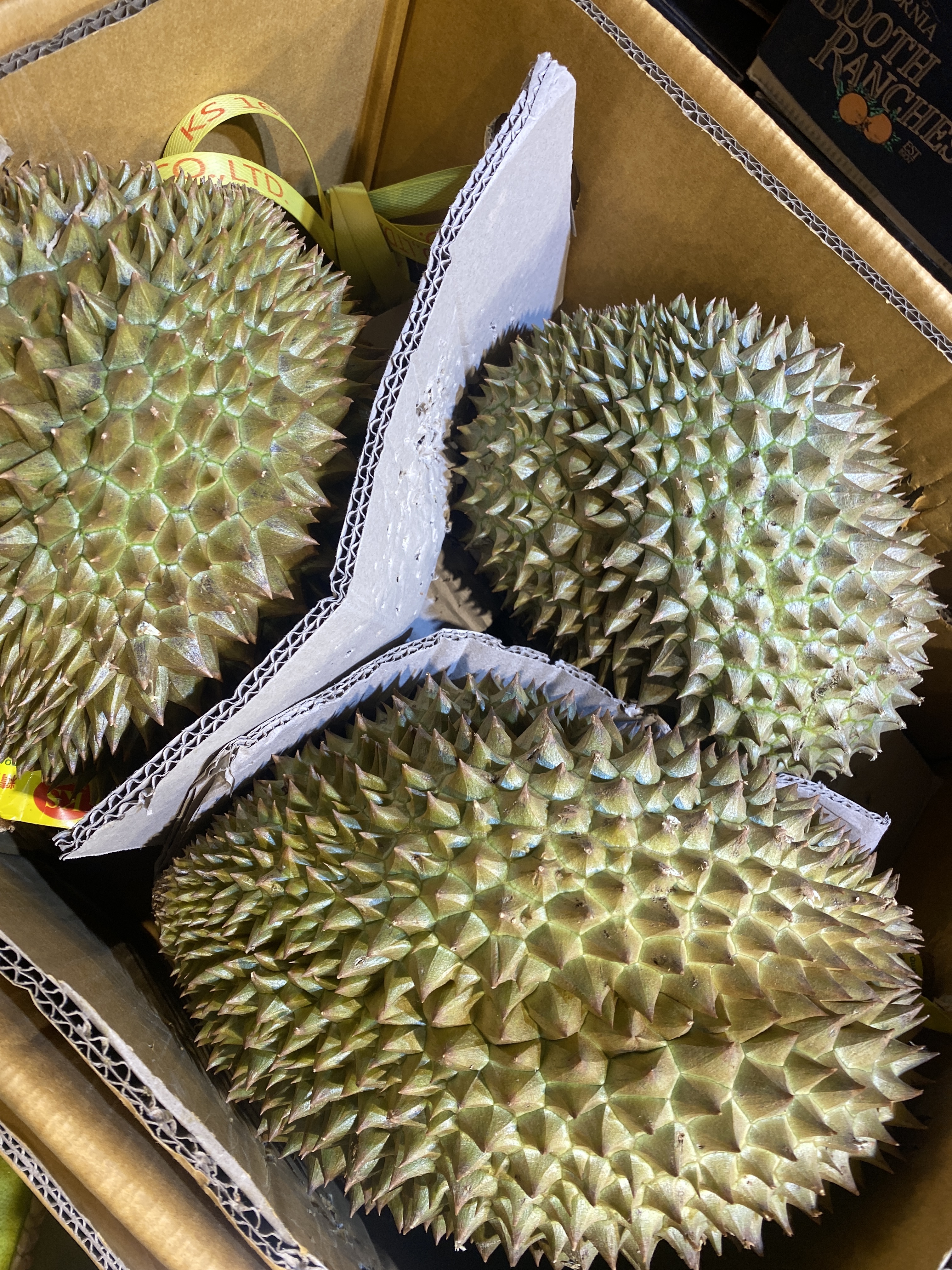 【水果】0421 果欄直播 泰國金枕頭 32/磅 需補尾數