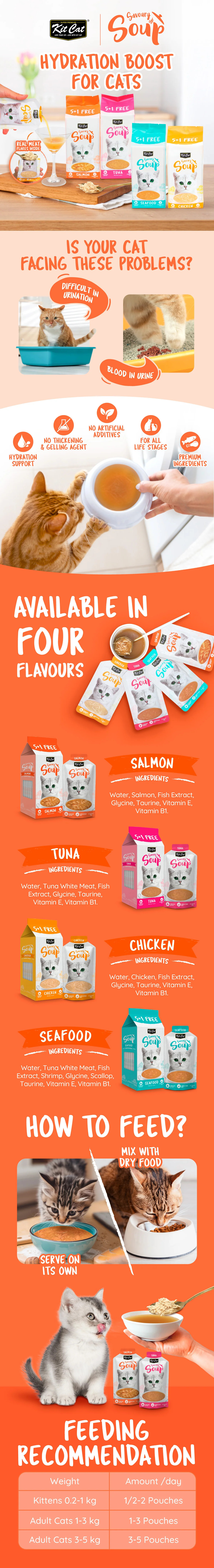 Kit Cat Savoury Soup 鮮肉濃湯