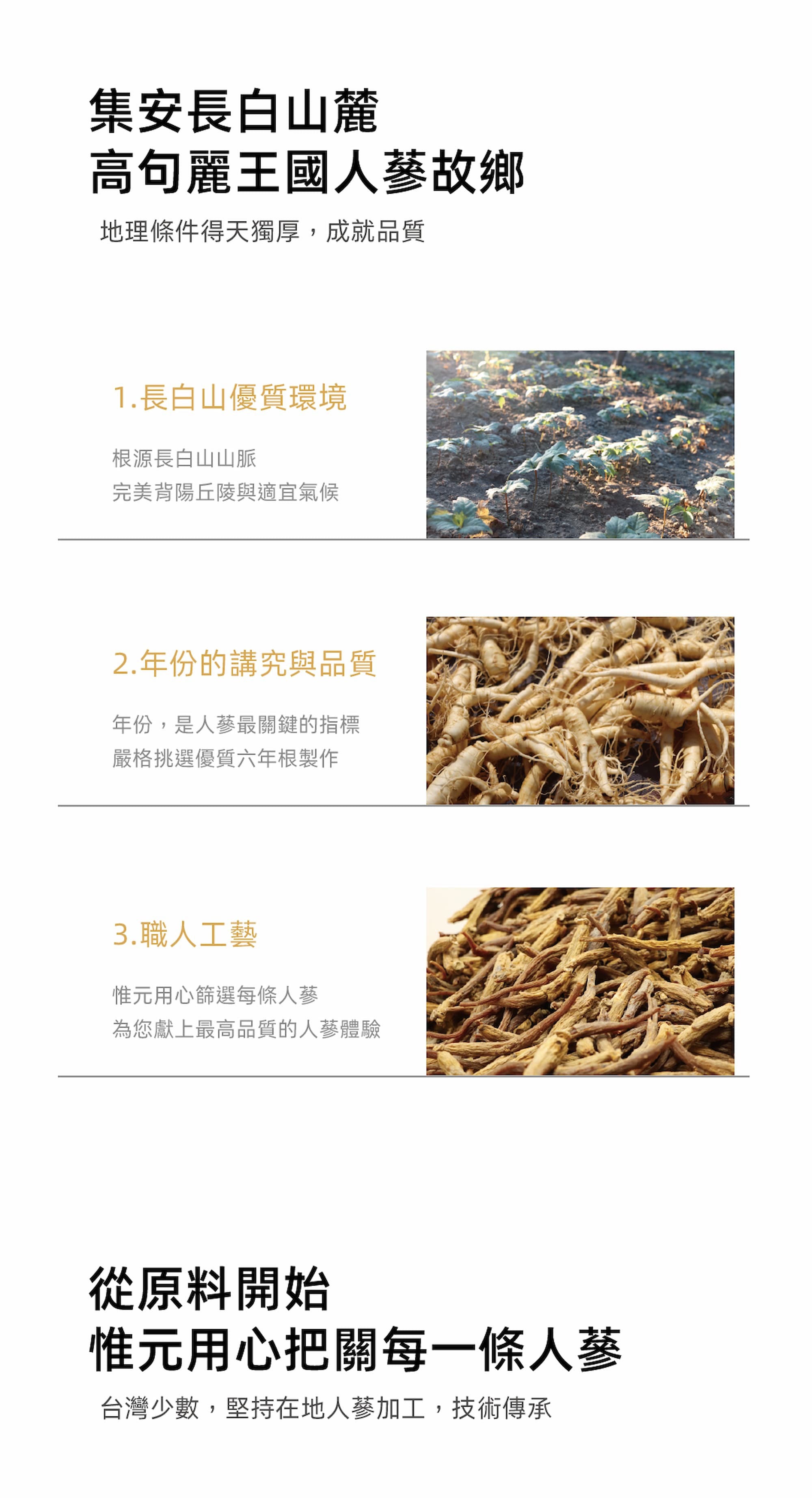 集安產地圖片、新鮮水蔘與人蔘