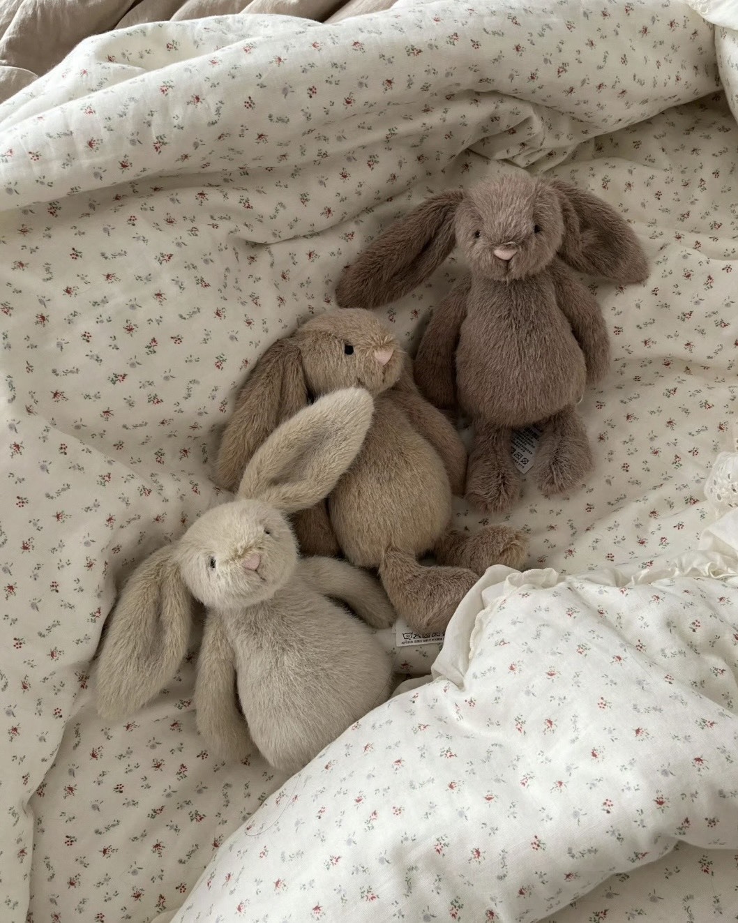 <新款✨> JellyCat Flufflet Bunny 芙絨 兔兔 系列 3色