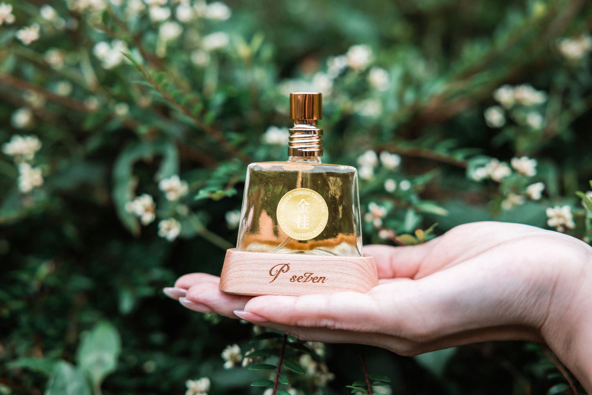 P.Seven 《 [golden] Tea Perfume 》25ml