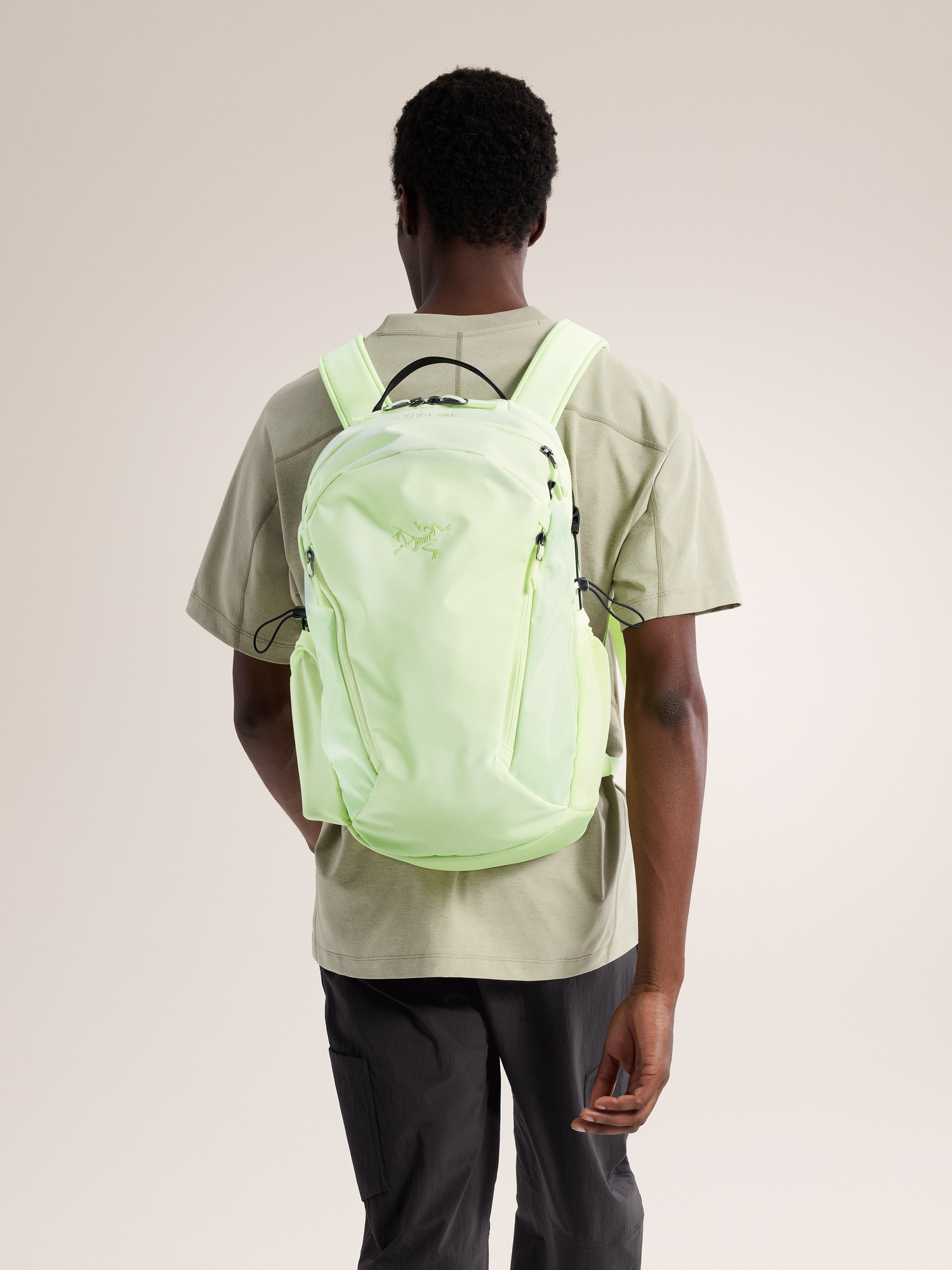 Arcteryx Mantis 26 Backpack Shincha