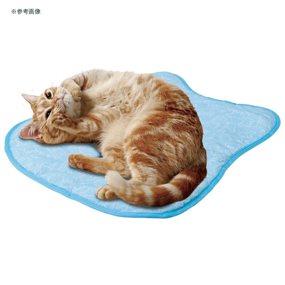 NYANTA CLUB 接觸冷感! 北極熊印花防蟎涼墊 (45x55cm) CT-645