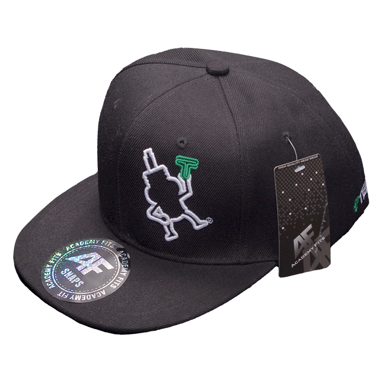 TEIN 官方周邊 DAMPACHI 吉祥物鴨舌帽 棒球帽 美國ACADEMYFITS代工