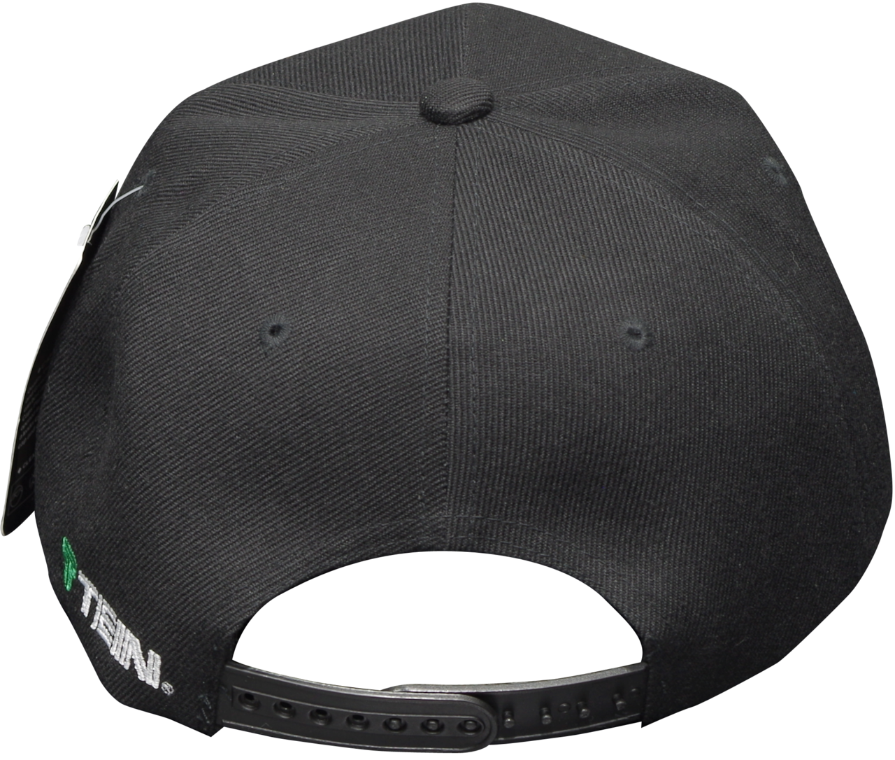 TEIN 官方周邊 DAMPACHI 吉祥物鴨舌帽 棒球帽 美國ACADEMYFITS代工