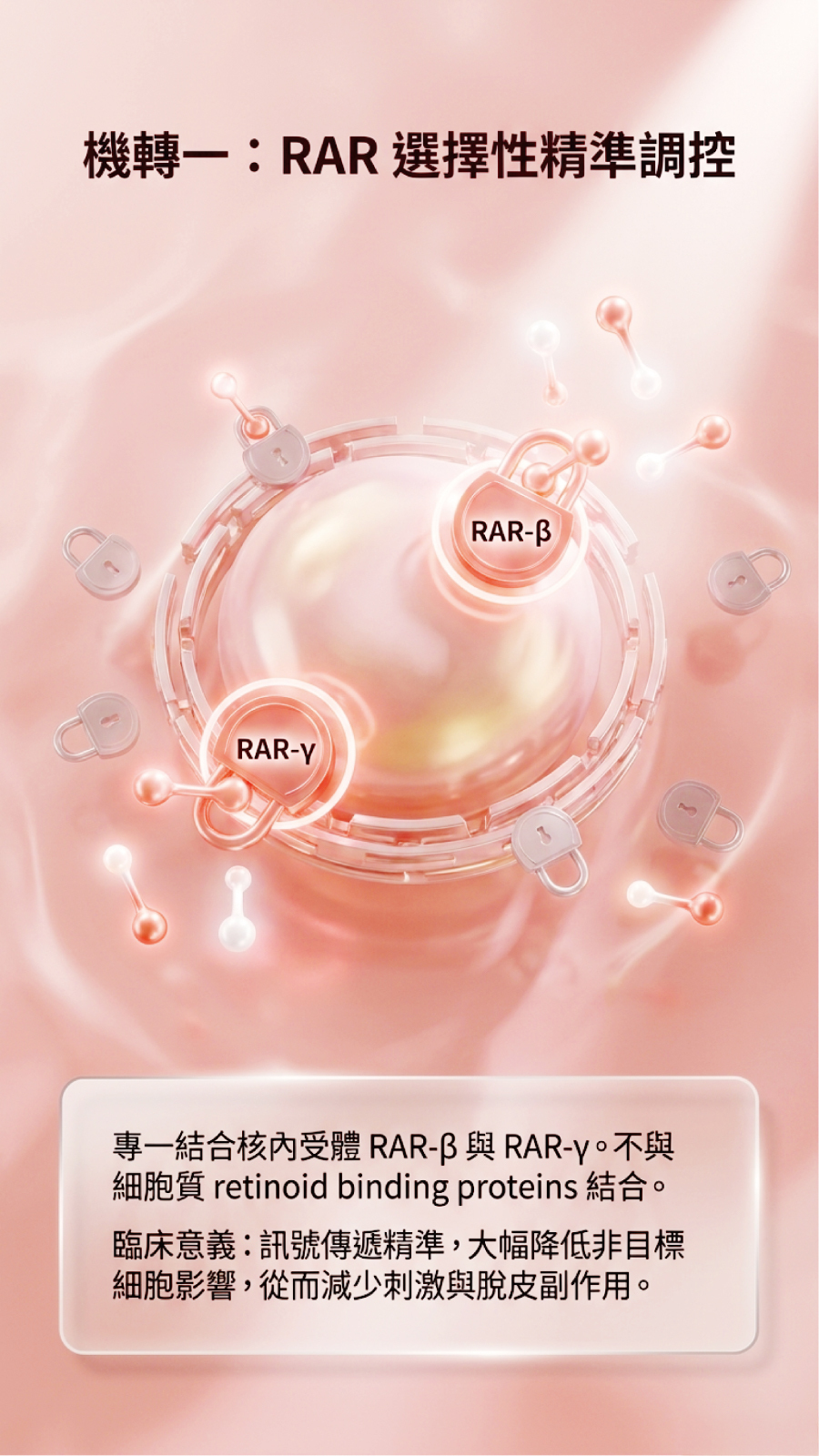 機轉 1 : RAR 選擇性精準調控