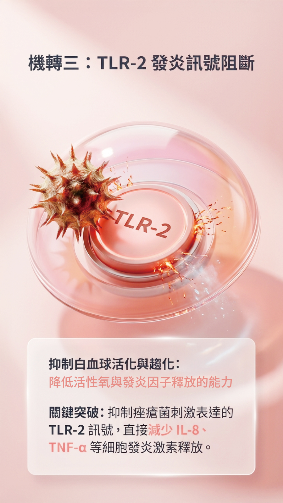 機轉 3 : TLR-2 發炎訊號阻斷