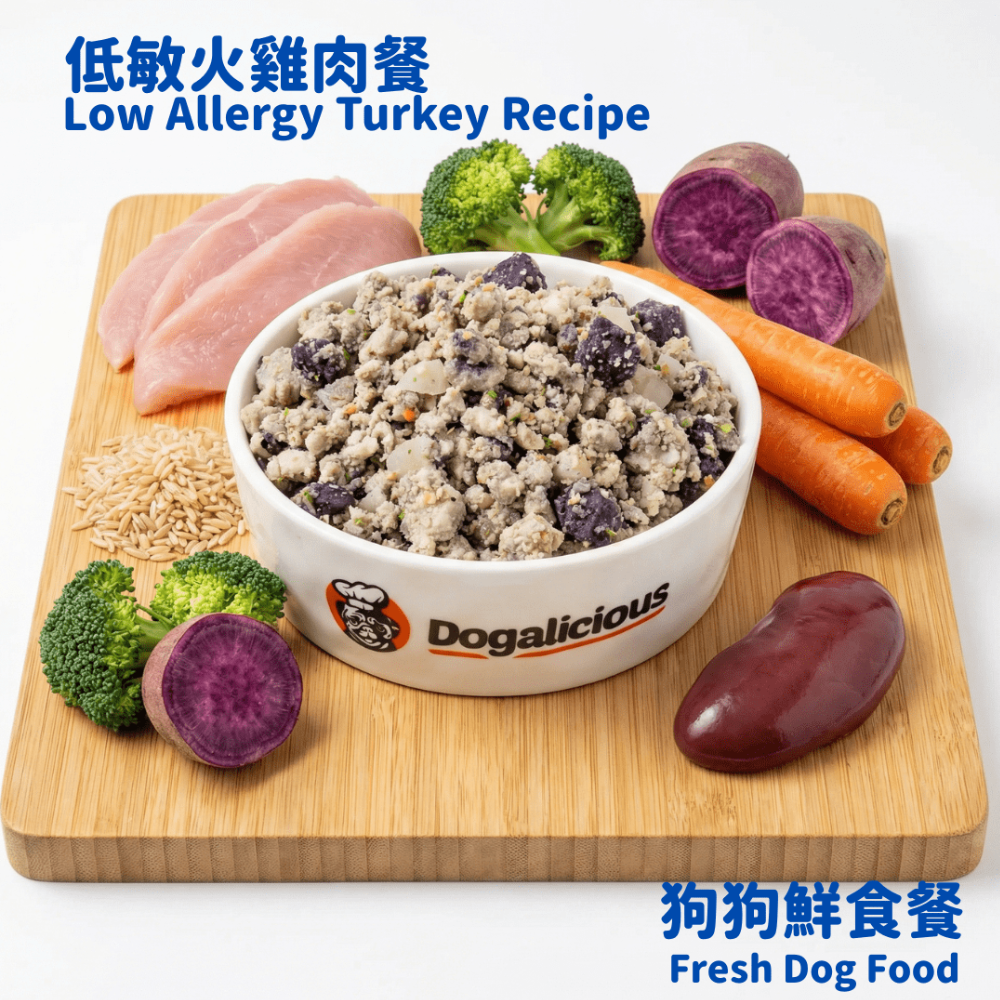 Dogalicious 狗狗鮮食 低敏火雞肉餐（急凍-18度）(5 x 50g) (PF104)