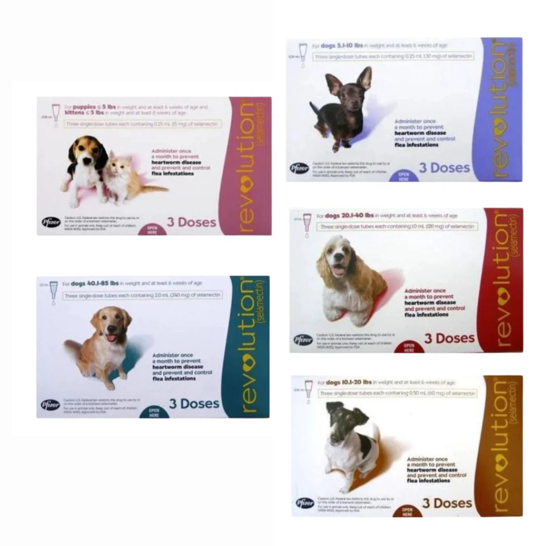 [代訂] Revolution - 狗隻 (一盒3支)