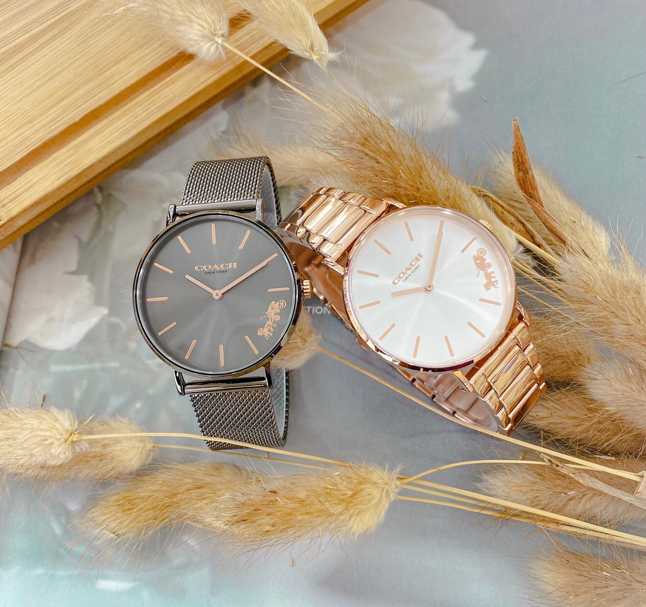 【COACH】CO14503127 36mm Modern Watch