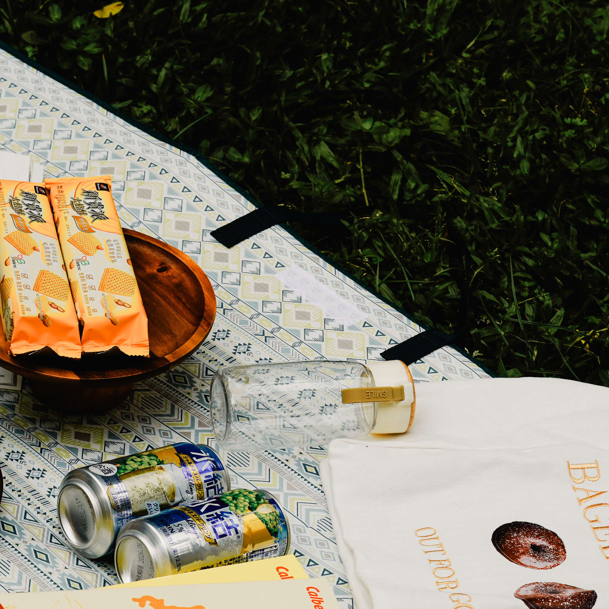 戶外提袋兩用野餐收納墊