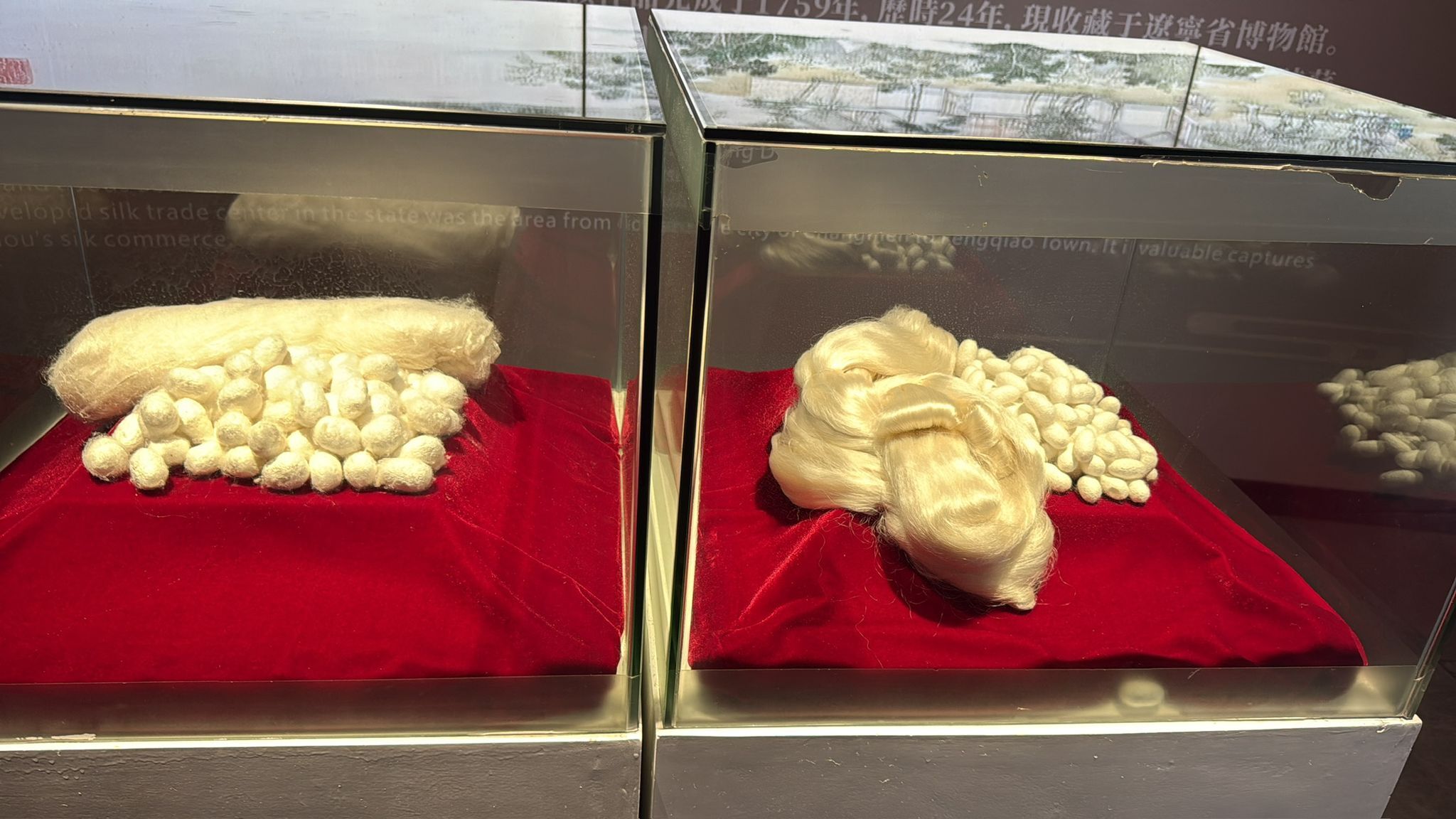 0422sz01-SZHK-QUILT-黃金被被芯1500g(A1)