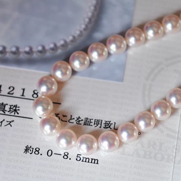 Rose Premium Japanese Akoya Pearl Necklace with certificate (8-8.5mm)