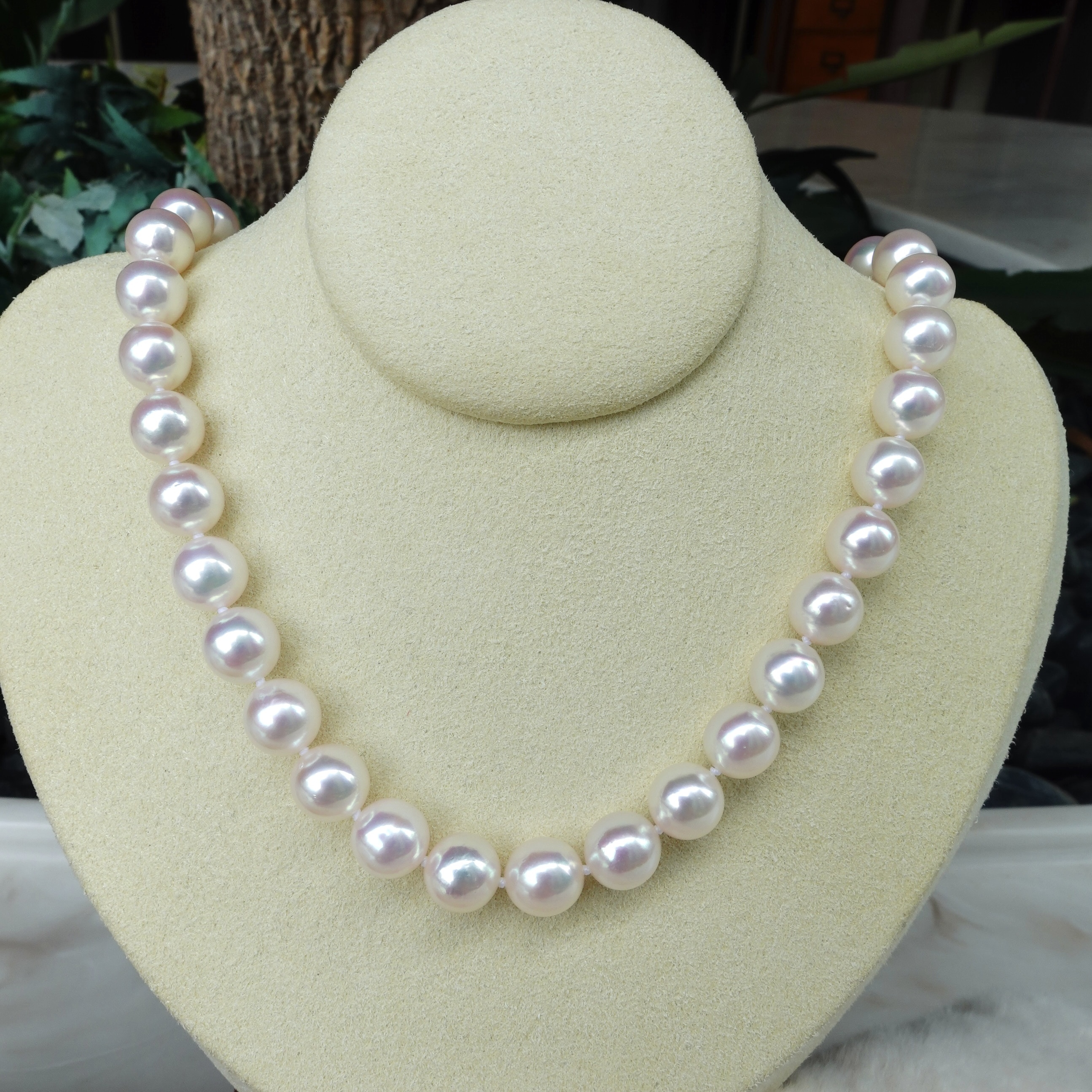 8-8.5mm 極光Rose Premium -日本Akoya珍珠項鏈  (配真科研證書)