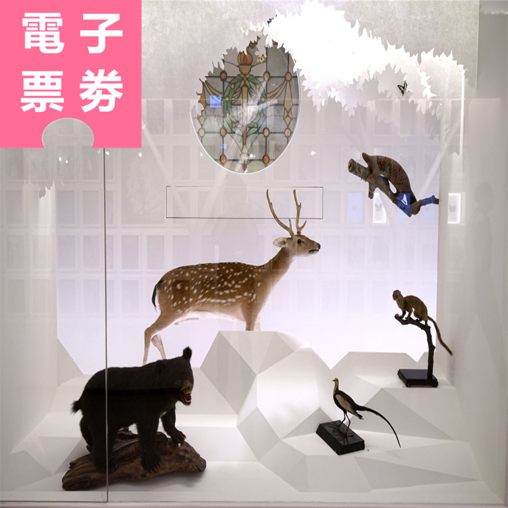 【電子票劵】台北｜國立臺灣博物館 四館聯票全票 Ⓕ