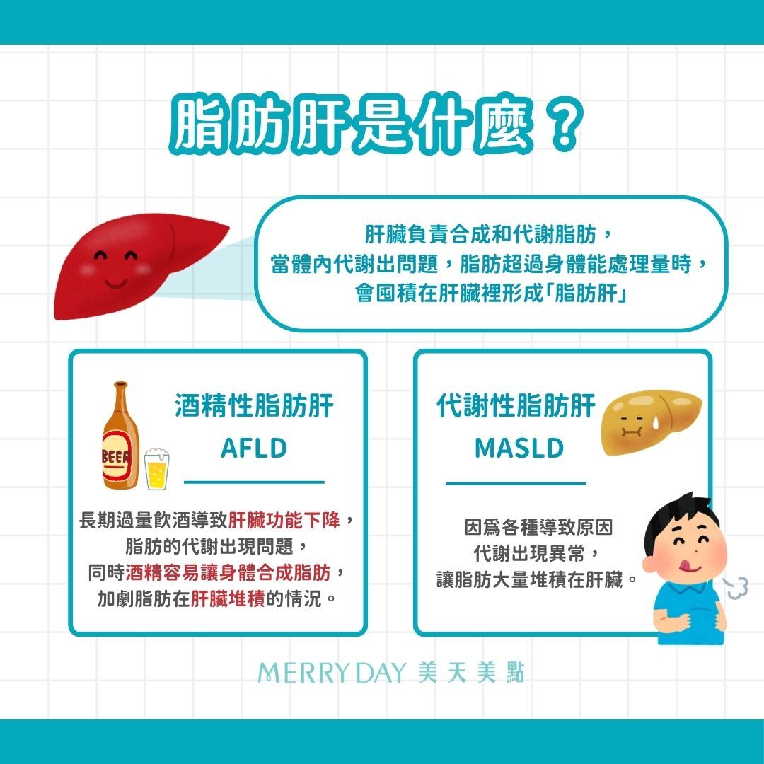 什麼是脂肪肝？