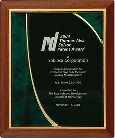 愛迪生專利發明獎 圖示