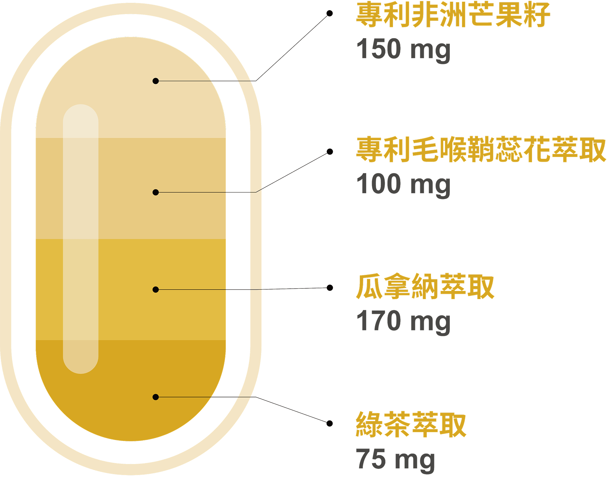 豐傑非洲芒果籽，擁有毛喉鞘蕊花、瓜拿納、綠茶萃取頂級4合1窈窕美麗配方